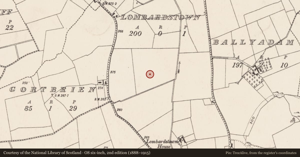 Ordnance Survey six-inch map, 2nd edition (1888–1915) covering the location of Barrow - ring-barrow, Lombardstown, County Limerick, with a pin at the register's coordinates