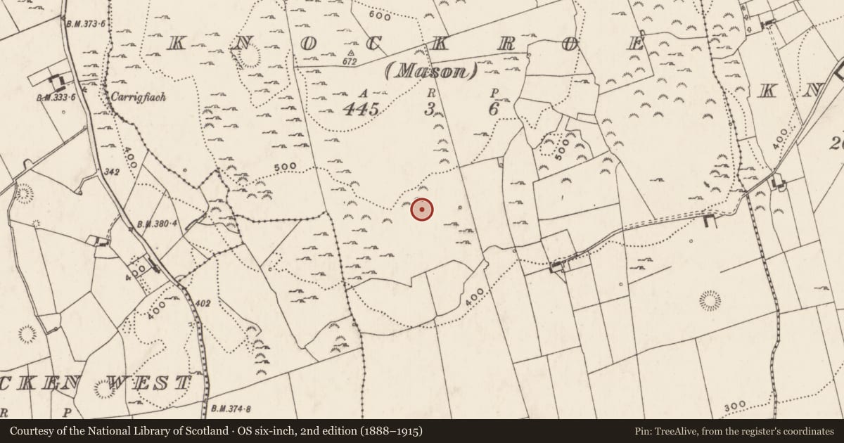 Ordnance Survey six-inch map, 2nd edition (1888–1915) covering the location of Enclosure, Knockroe (Mason), County Limerick, with a pin at the register's coordinates