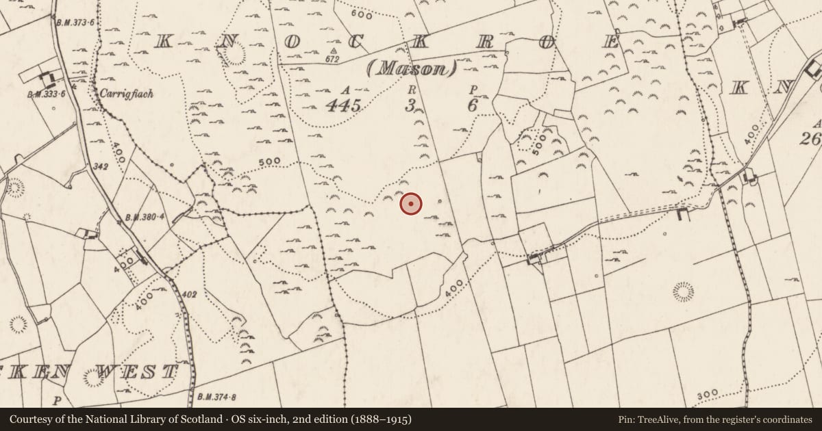 Ordnance Survey six-inch map, 2nd edition (1888–1915) covering the location of Hut site, Knockroe (Mason), County Limerick, with a pin at the register's coordinates