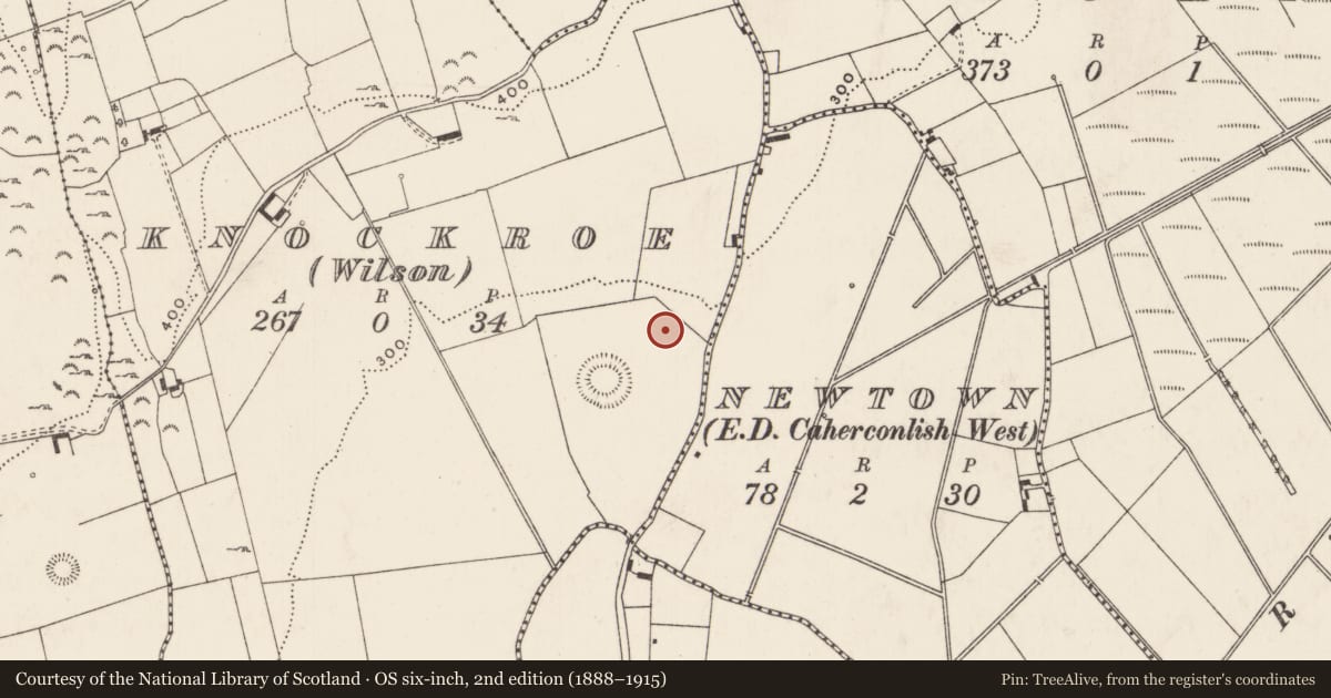 Ordnance Survey six-inch map, 2nd edition (1888–1915) covering the location of Enclosure, Knockroe (Wilson), County Limerick, with a pin at the register's coordinates