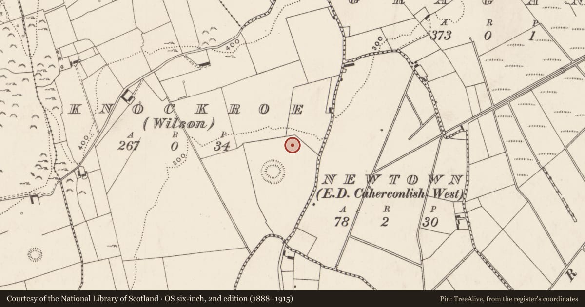 Ordnance Survey six-inch map, 2nd edition (1888–1915) covering the location of Barrow - ring-barrow, Knockroe (Wilson), County Limerick, with a pin at the register's coordinates