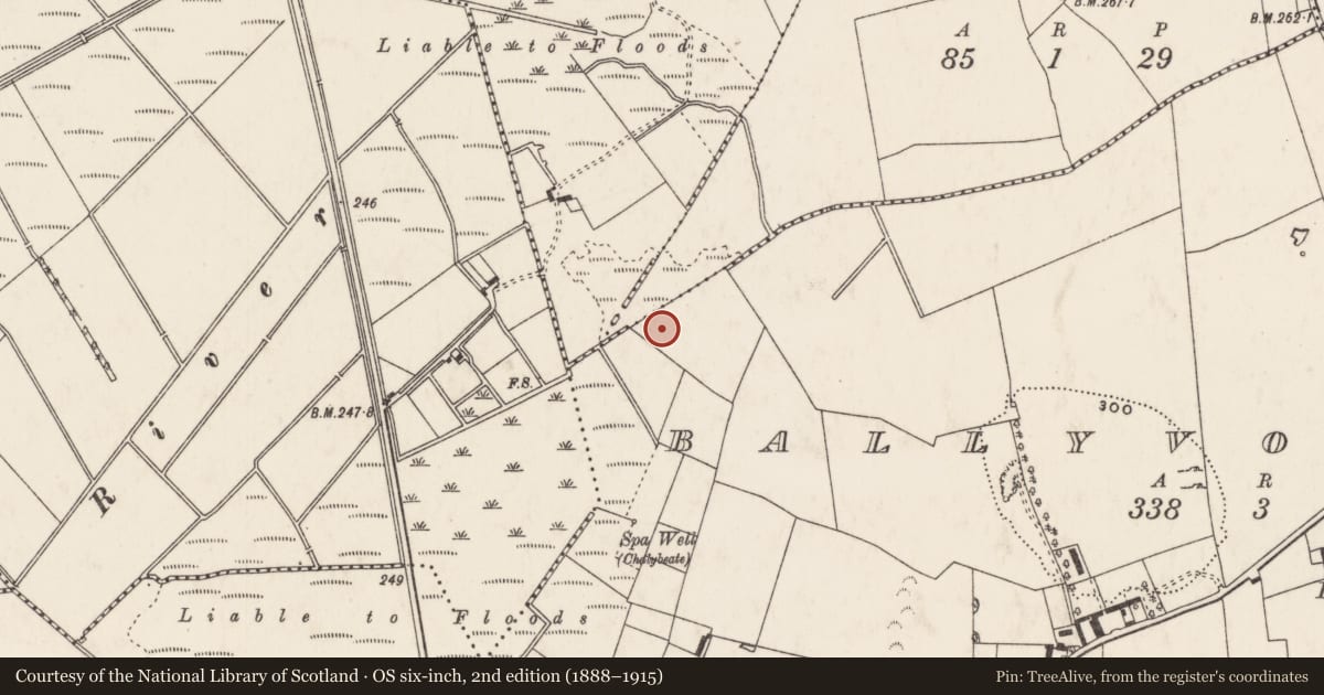 Ordnance Survey six-inch map, 2nd edition (1888–1915) covering the location of Mound, Ballyvorneen, County Limerick, with a pin at the register's coordinates