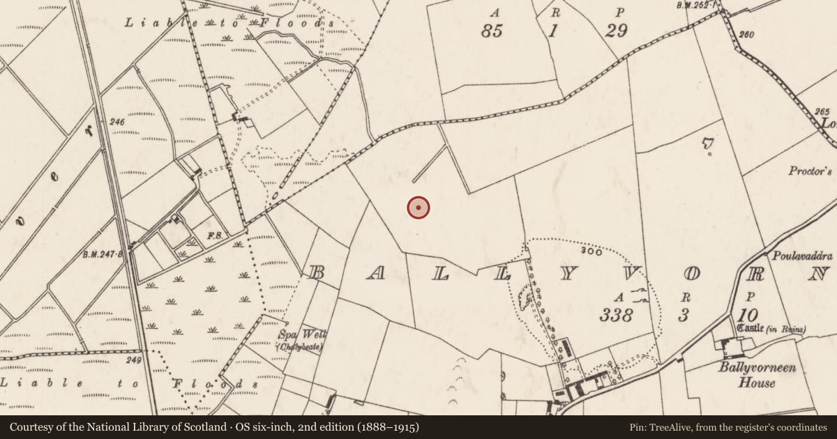 Ordnance Survey six-inch map, 2nd edition (1888–1915) covering the location of Mound, Ballyvorneen, County Limerick, with a pin at the register's coordinates