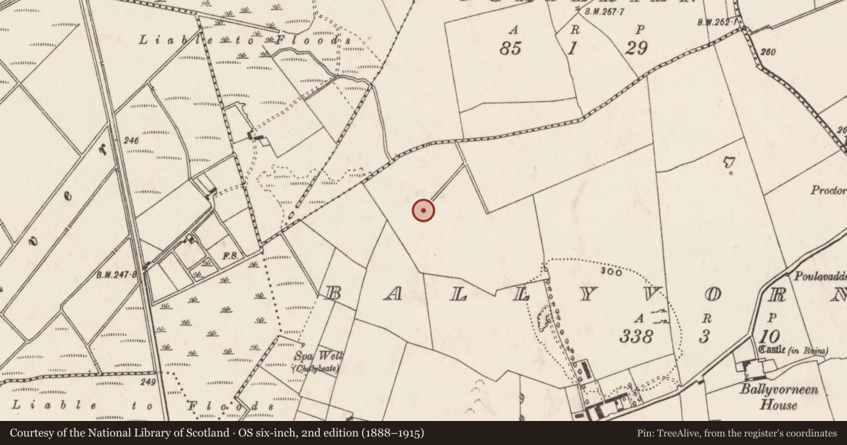 Ordnance Survey six-inch map, 2nd edition (1888–1915) covering the location of Enclosure, Ballyvorneen, County Limerick, with a pin at the register's coordinates