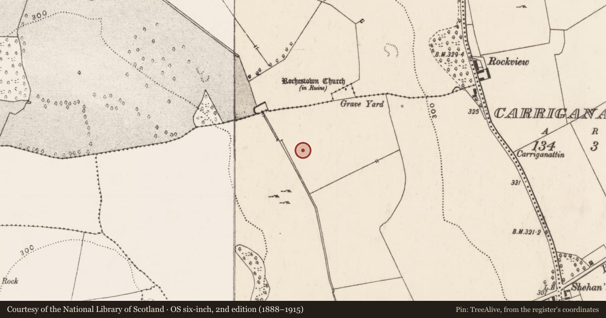 Ordnance Survey six-inch map, 2nd edition (1888–1915) covering the location of Enclosure, Rochestown, County Limerick, with a pin at the register's coordinates