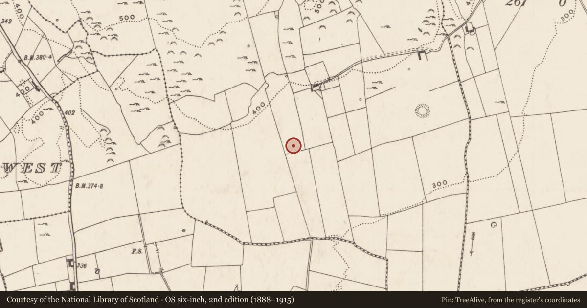 Ordnance Survey six-inch map, 2nd edition (1888–1915) covering the location of Enclosure, Knockroe (Mason), County Limerick, with a pin at the register's coordinates