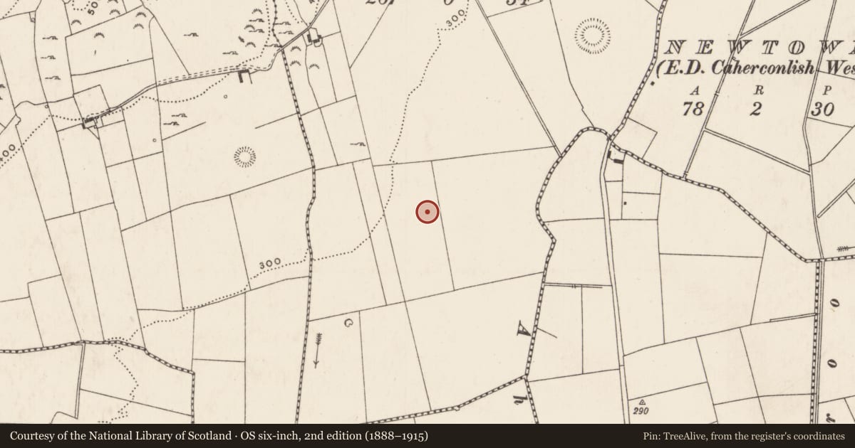 Ordnance Survey six-inch map, 2nd edition (1888–1915) covering the location of Enclosure, Knockroe (Wilson), County Limerick, with a pin at the register's coordinates