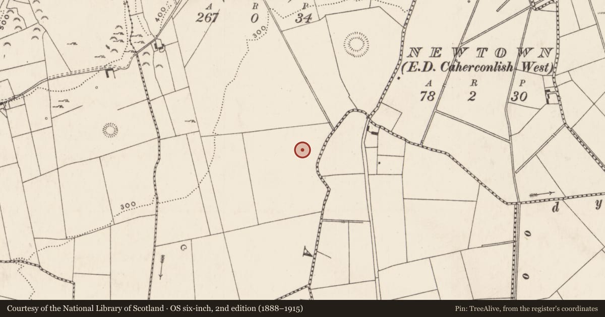 Ordnance Survey six-inch map, 2nd edition (1888–1915) covering the location of Enclosure, Knockroe (Wilson), County Limerick, with a pin at the register's coordinates