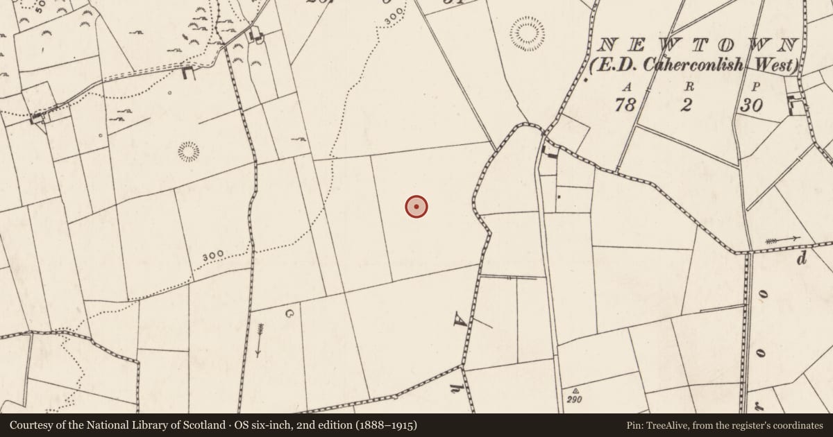 Ordnance Survey six-inch map, 2nd edition (1888–1915) covering the location of Enclosure, Knockroe (Wilson), County Limerick, with a pin at the register's coordinates