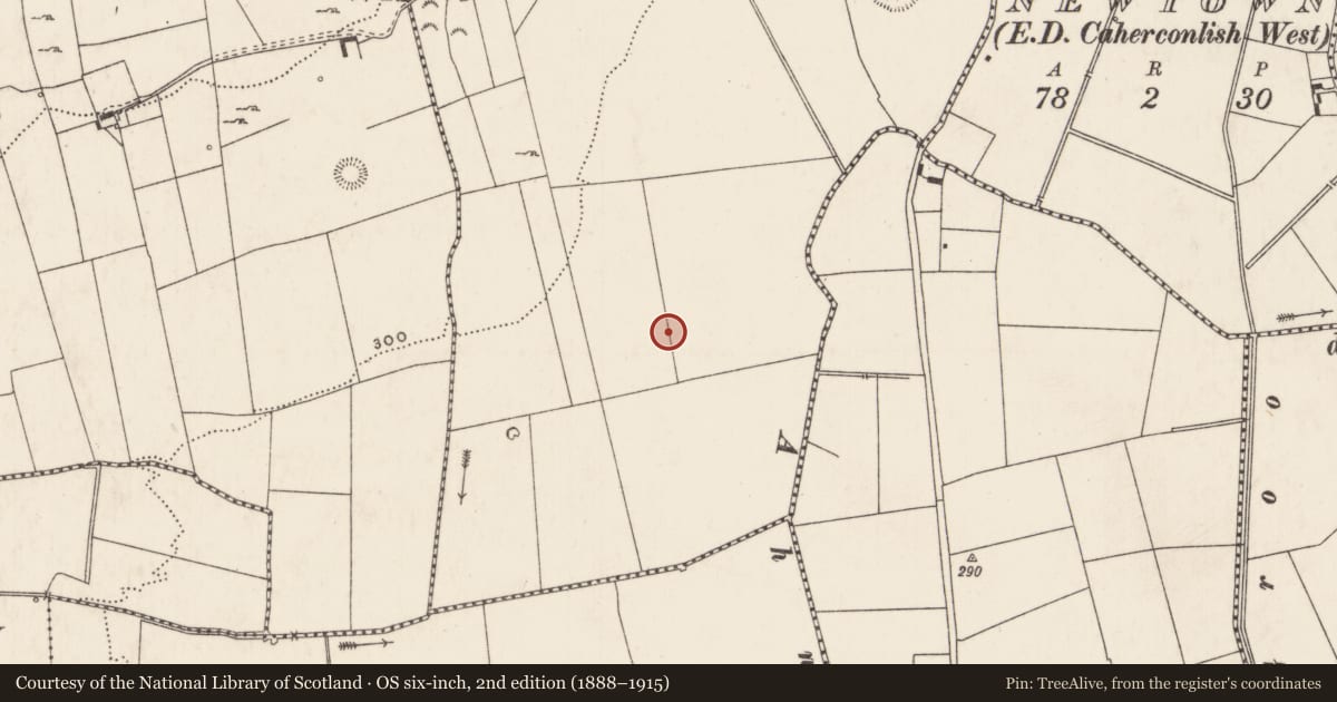 Ordnance Survey six-inch map, 2nd edition (1888–1915) covering the location of Enclosure, Knockroe (Wilson), County Limerick, with a pin at the register's coordinates
