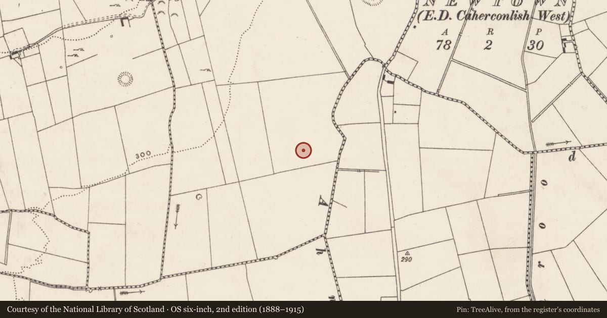 Ordnance Survey six-inch map, 2nd edition (1888–1915) covering the location of Enclosure, Knockroe (Wilson), County Limerick, with a pin at the register's coordinates