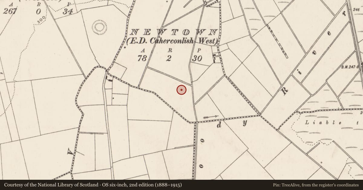 Ordnance Survey six-inch map, 2nd edition (1888–1915) covering the location of Enclosure, Newtown, County Limerick, with a pin at the register's coordinates