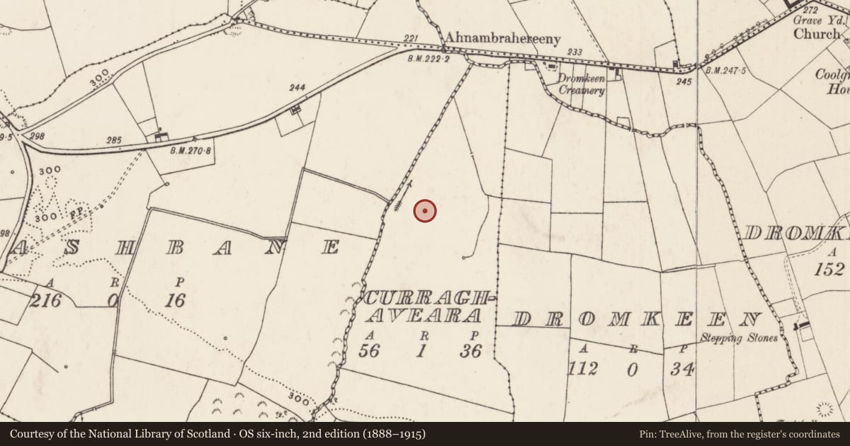 Ordnance Survey six-inch map, 2nd edition (1888–1915) covering the location of Enclosure, Curraghaveara, County Limerick, with a pin at the register's coordinates
