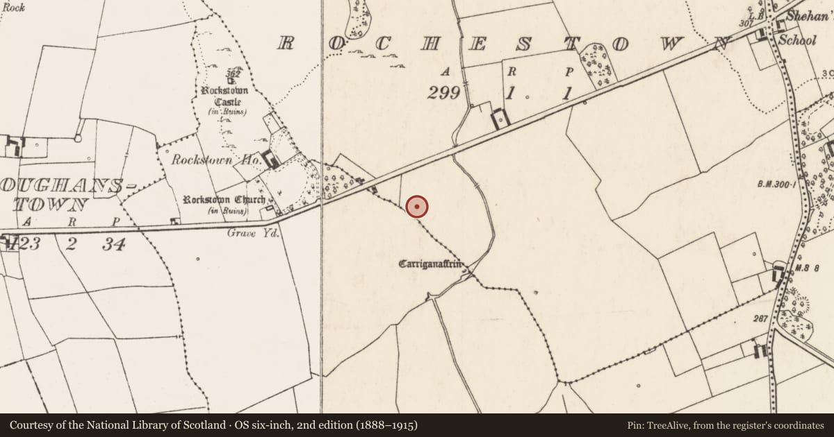 Ordnance Survey six-inch map, 2nd edition (1888–1915) covering the location of Barrow - ring-barrow, Rochestown, County Limerick, with a pin at the register's coordinates
