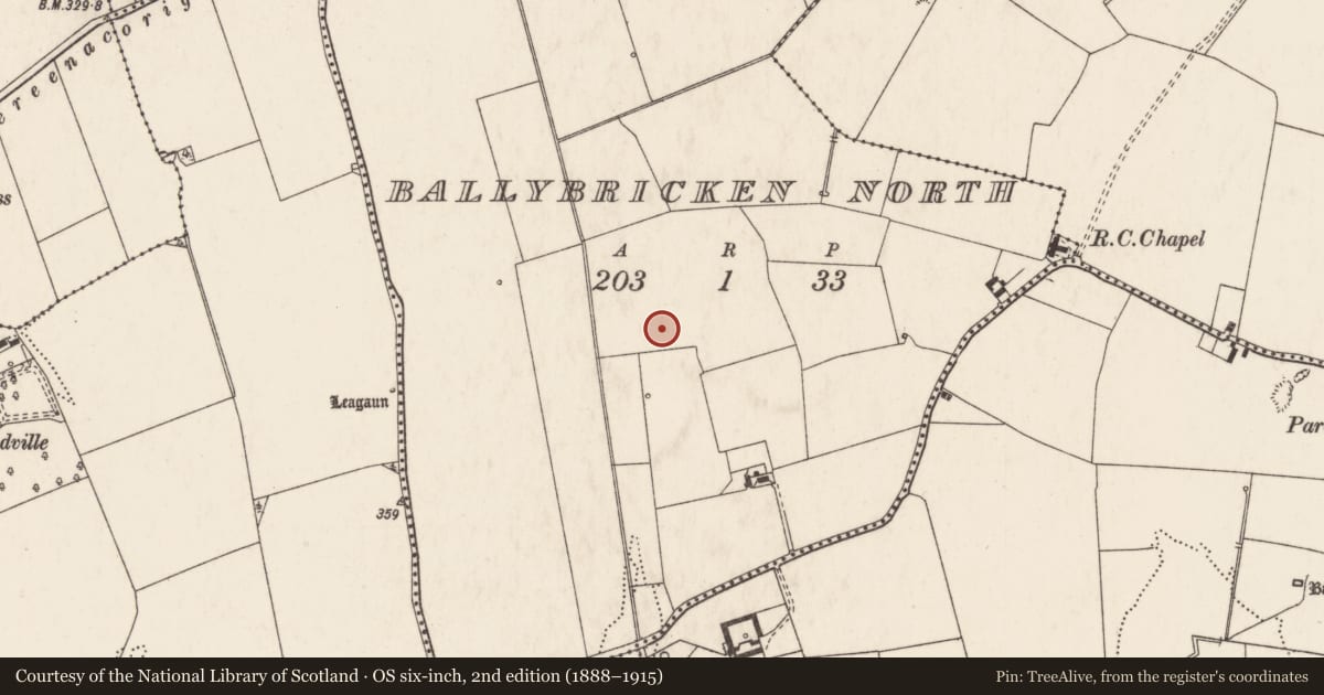 Ordnance Survey six-inch map, 2nd edition (1888–1915) covering the location of Enclosure, Ballybricken North, County Limerick, with a pin at the register's coordinates