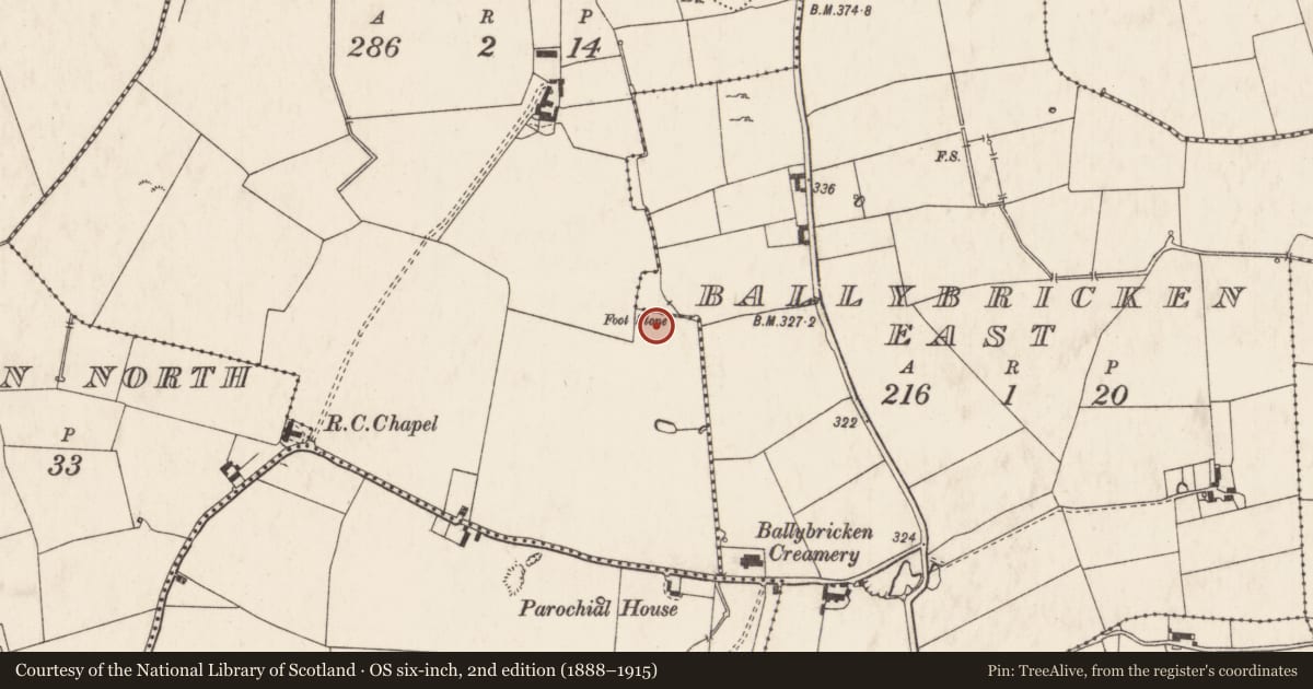Ordnance Survey six-inch map, 2nd edition (1888–1915) covering the location of Barrow - ring-barrow, Ballybricken West, County Limerick, with a pin at the register's coordinates