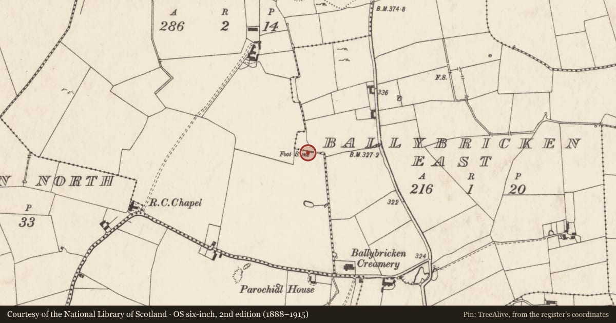 Ordnance Survey six-inch map, 2nd edition (1888–1915) covering the location of Barrow - ring-barrow, Ballybricken West, County Limerick, with a pin at the register's coordinates