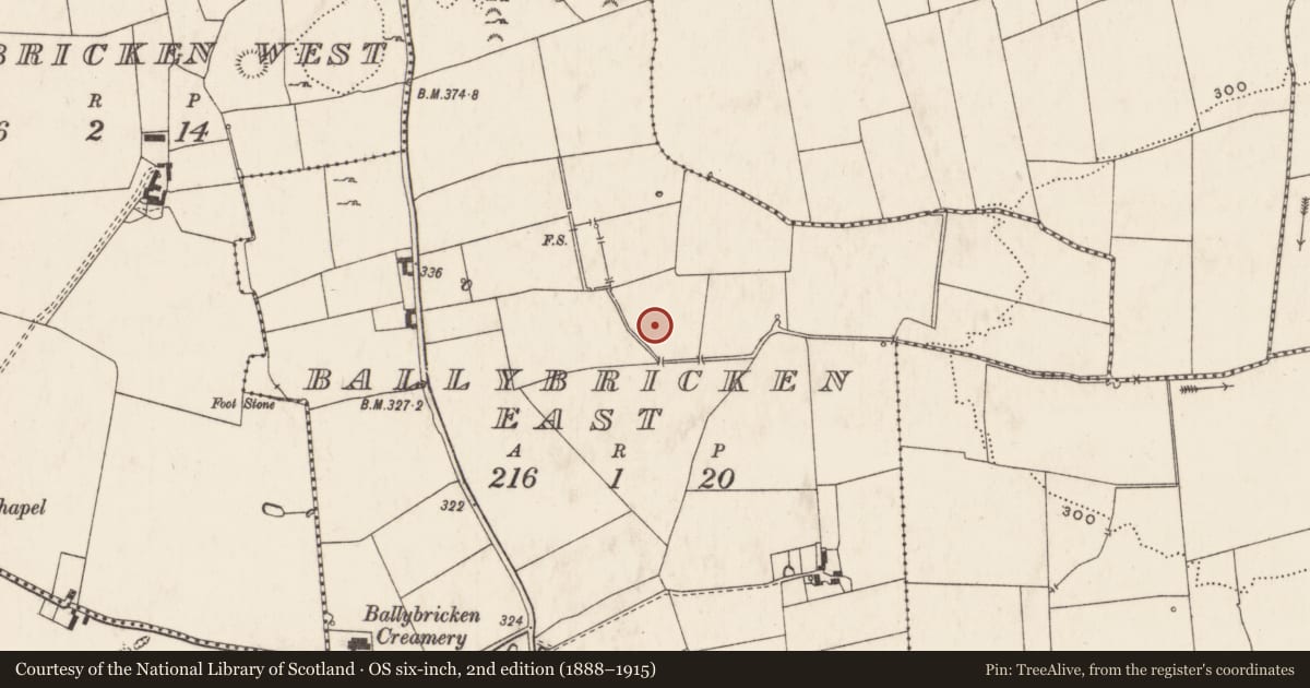 Ordnance Survey six-inch map, 2nd edition (1888–1915) covering the location of Enclosure, Ballybricken East, County Limerick, with a pin at the register's coordinates