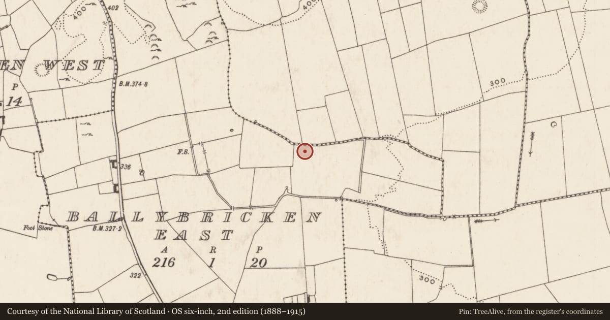 Ordnance Survey six-inch map, 2nd edition (1888–1915) covering the location of Enclosure, Ballybricken East, County Limerick, with a pin at the register's coordinates
