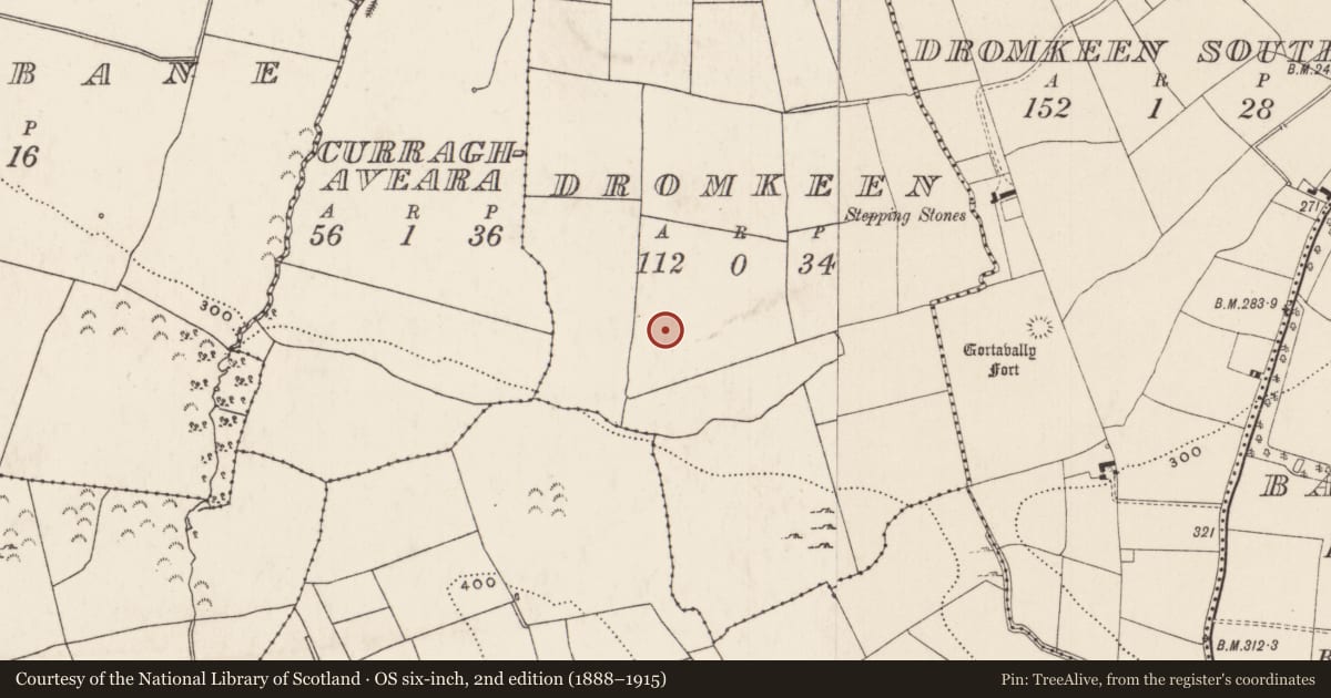 Ordnance Survey six-inch map, 2nd edition (1888–1915) covering the location of Enclosure, Dromkeen, County Limerick, with a pin at the register's coordinates