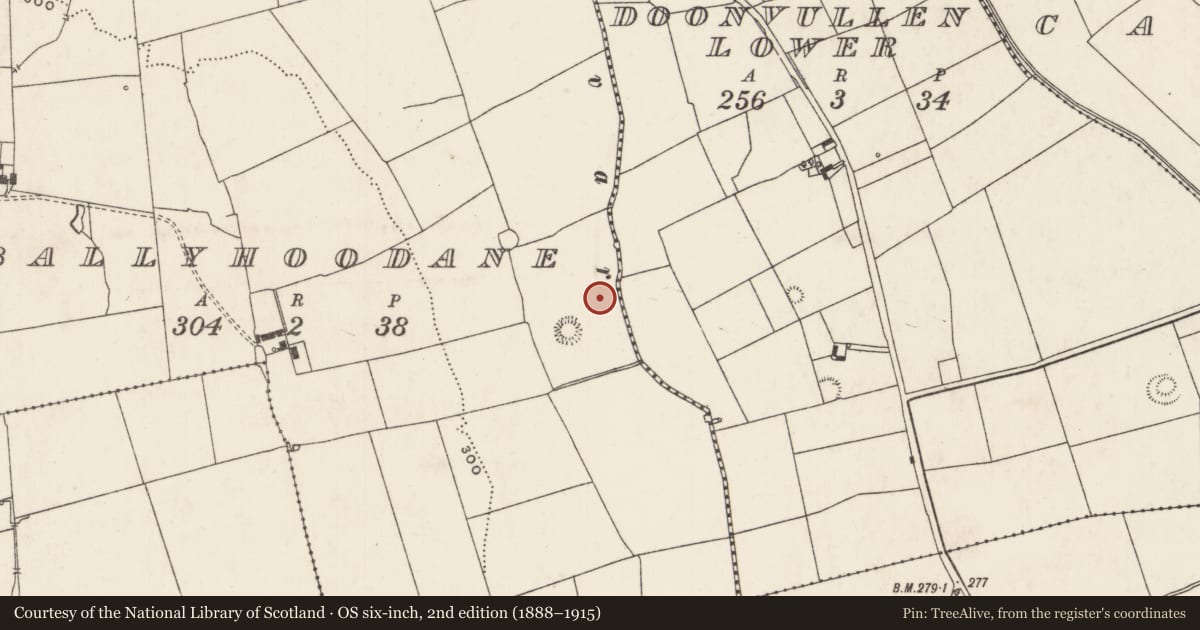 Ordnance Survey six-inch map, 2nd edition (1888–1915) covering the location of Enclosure, Ballyhoodane, County Limerick, with a pin at the register's coordinates