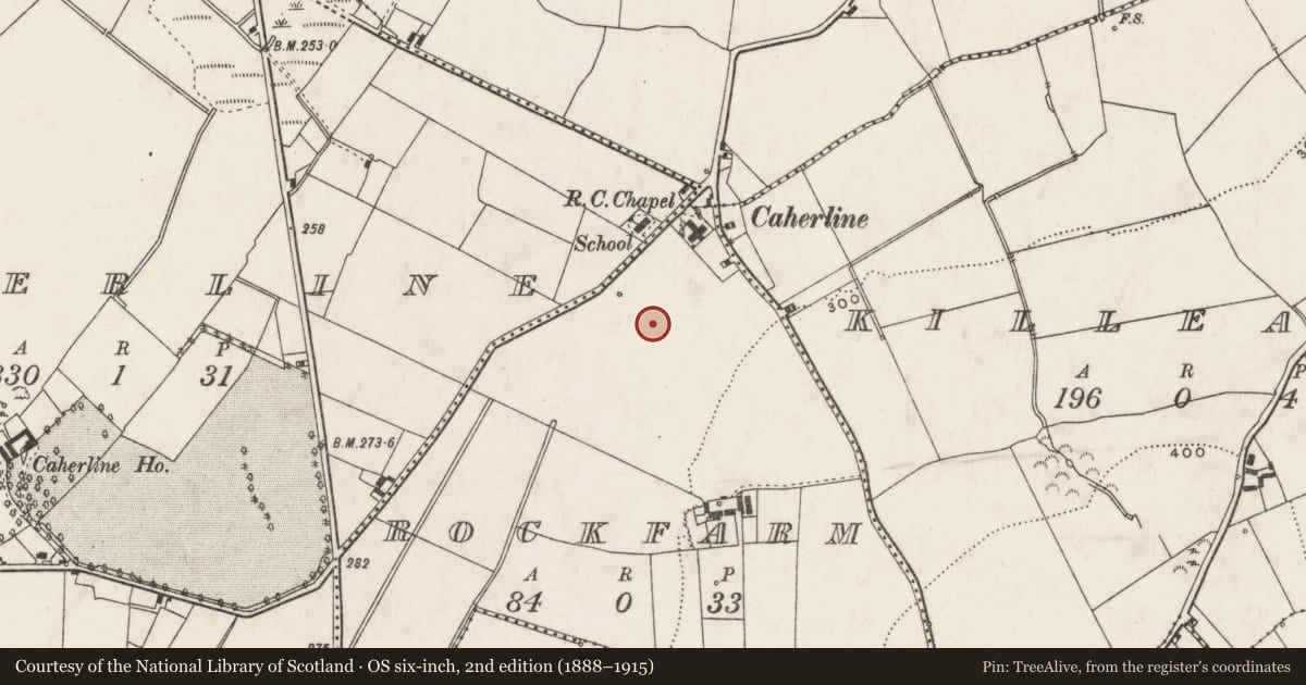 Ordnance Survey six-inch map, 2nd edition (1888–1915) covering the location of Enclosure, Rockfarm, County Limerick, with a pin at the register's coordinates