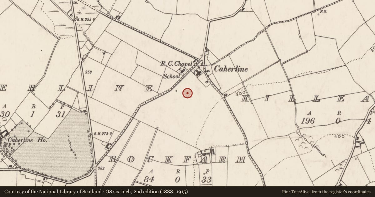 Ordnance Survey six-inch map, 2nd edition (1888–1915) covering the location of Enclosure, Rockfarm, County Limerick, with a pin at the register's coordinates
