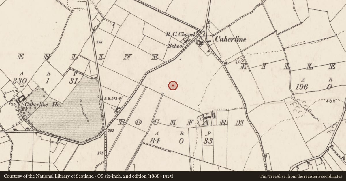 Ordnance Survey six-inch map, 2nd edition (1888–1915) covering the location of Enclosure, Rockfarm, County Limerick, with a pin at the register's coordinates