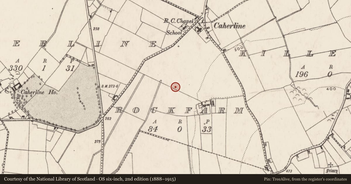Ordnance Survey six-inch map, 2nd edition (1888–1915) covering the location of Enclosure, Rockfarm, County Limerick, with a pin at the register's coordinates