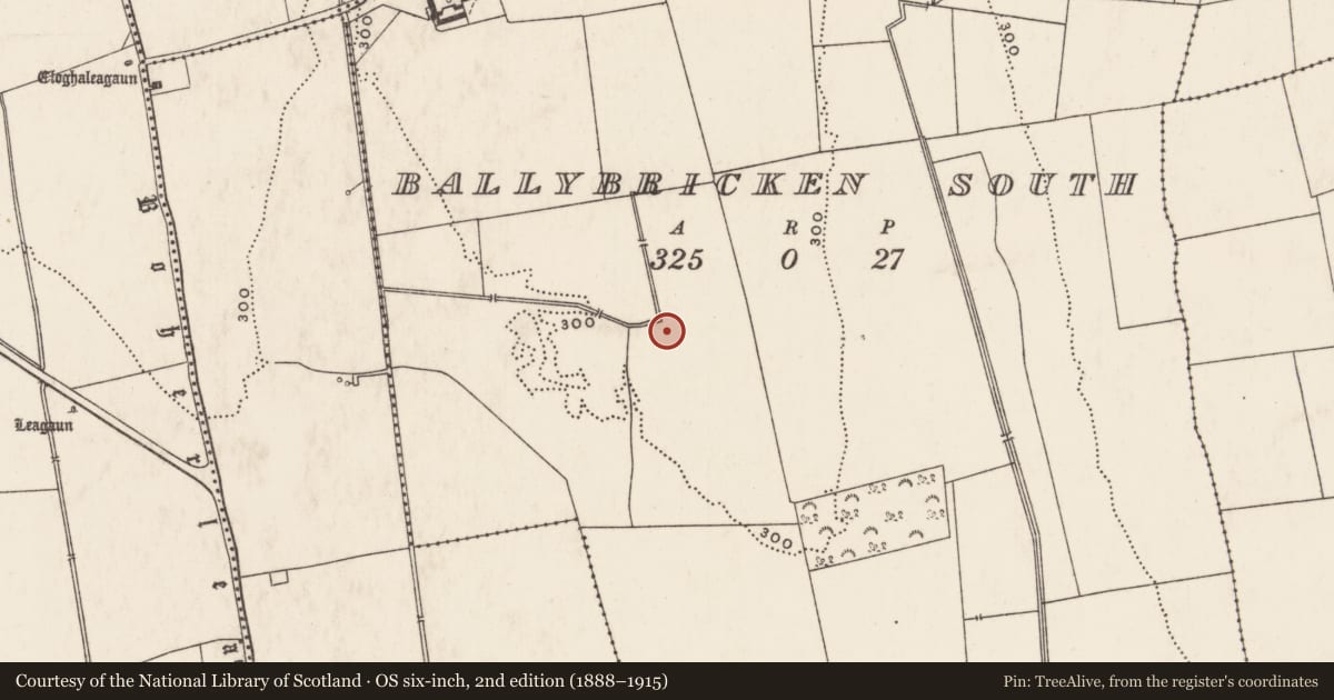Ordnance Survey six-inch map, 2nd edition (1888–1915) covering the location of Enclosure, Ballybricken South, County Limerick, with a pin at the register's coordinates