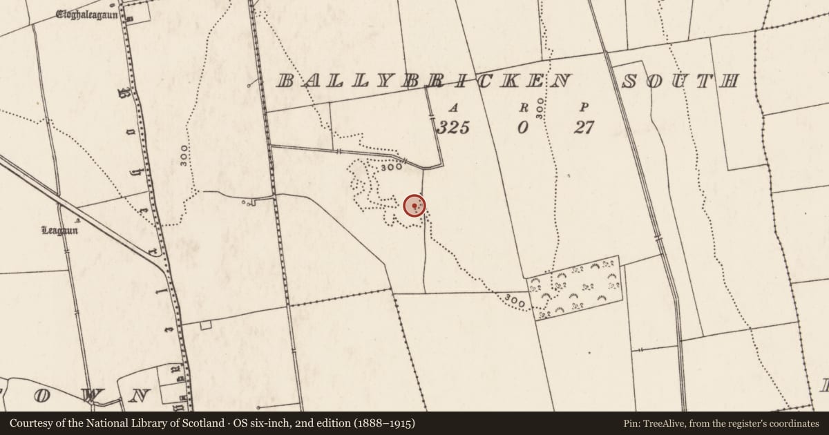Ordnance Survey six-inch map, 2nd edition (1888–1915) covering the location of Enclosure, Ballybricken South, County Limerick, with a pin at the register's coordinates