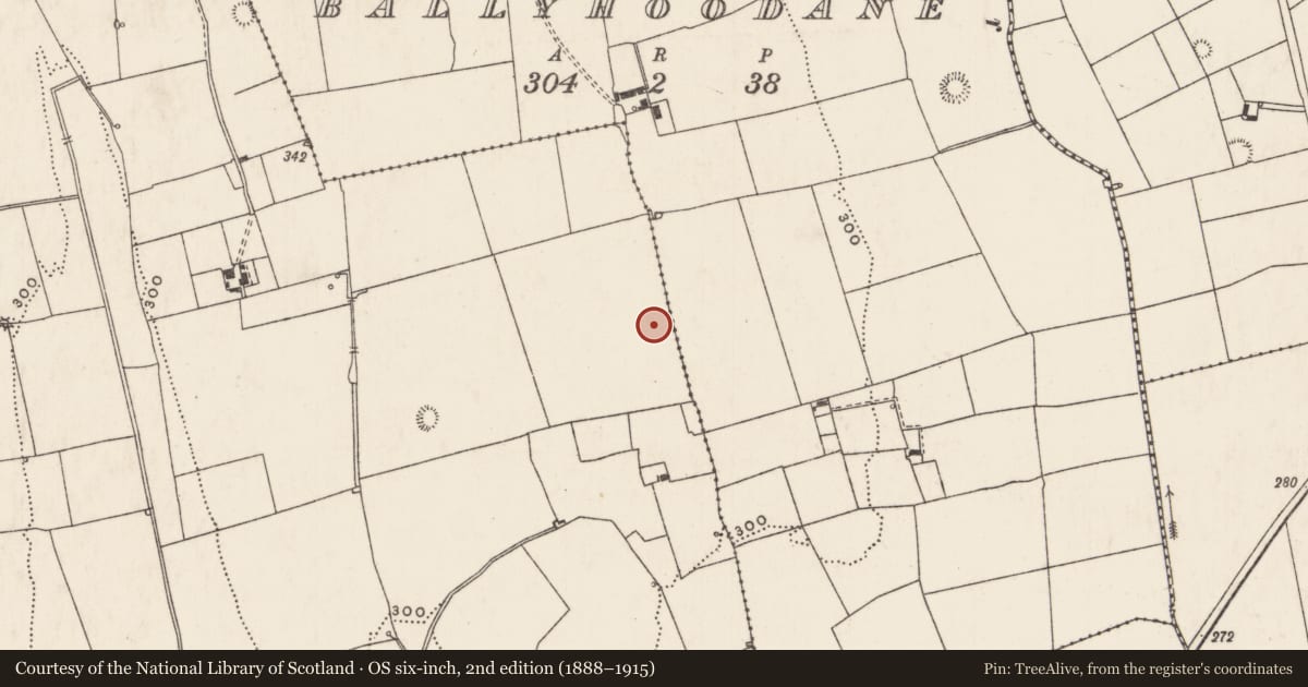 Ordnance Survey six-inch map, 2nd edition (1888–1915) covering the location of Enclosure, Caherelly East, County Limerick, with a pin at the register's coordinates