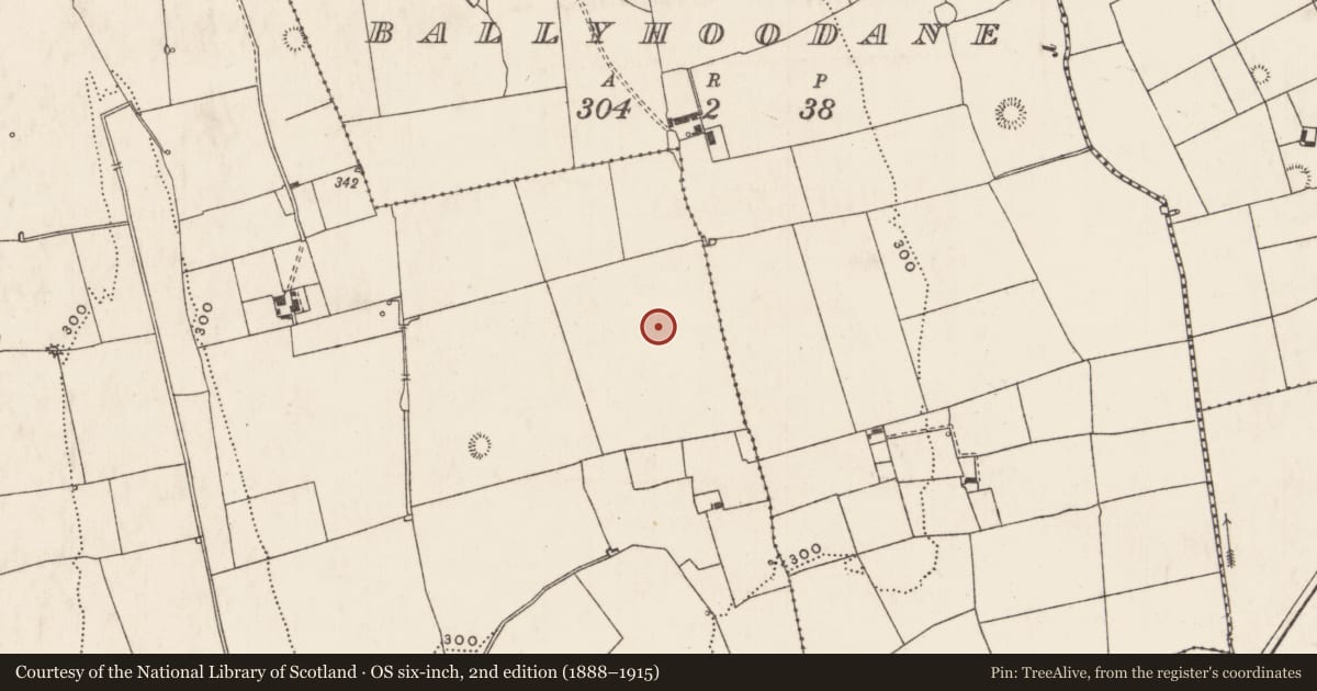 Ordnance Survey six-inch map, 2nd edition (1888–1915) covering the location of Enclosure, Caherelly East, County Limerick, with a pin at the register's coordinates