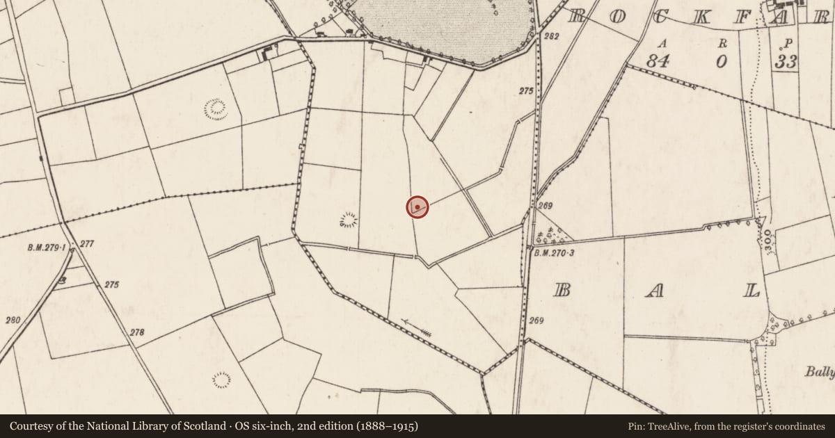 Ordnance Survey six-inch map, 2nd edition (1888–1915) covering the location of Enclosure, Caherline, County Limerick, with a pin at the register's coordinates