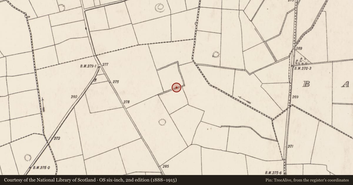 Ordnance Survey six-inch map, 2nd edition (1888–1915) covering the location of Barrow - ring-barrow, Doonvullen Upper, County Limerick, with a pin at the register's coordinates