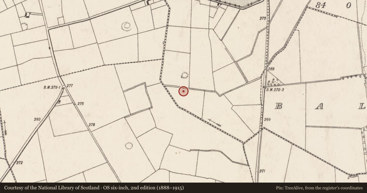 Ordnance Survey six-inch map, 2nd edition (1888–1915) covering the location of Barrow - ring-barrow, Caherline, County Limerick, with a pin at the register's coordinates