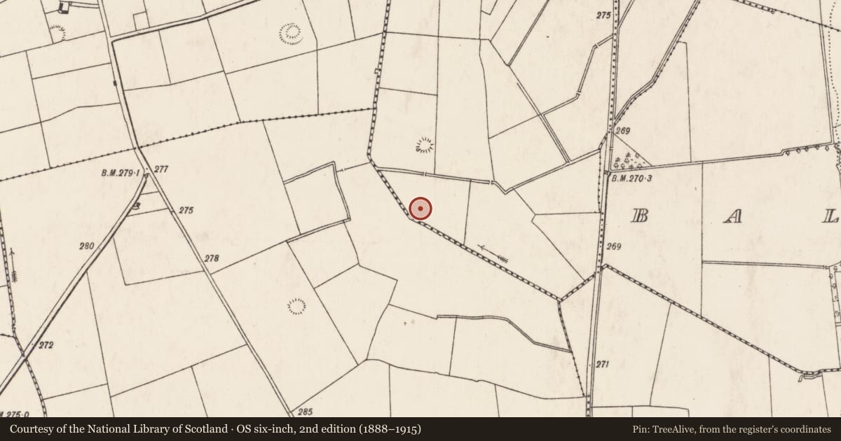 Ordnance Survey six-inch map, 2nd edition (1888–1915) covering the location of Barrow - ring-barrow, Caherline, County Limerick, with a pin at the register's coordinates
