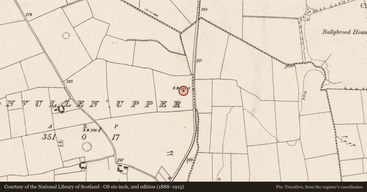Ordnance Survey six-inch map, 2nd edition (1888–1915) covering the location of Barrow - unclassified, Doonvullen Upper, County Limerick, with a pin at the register's coordinates
