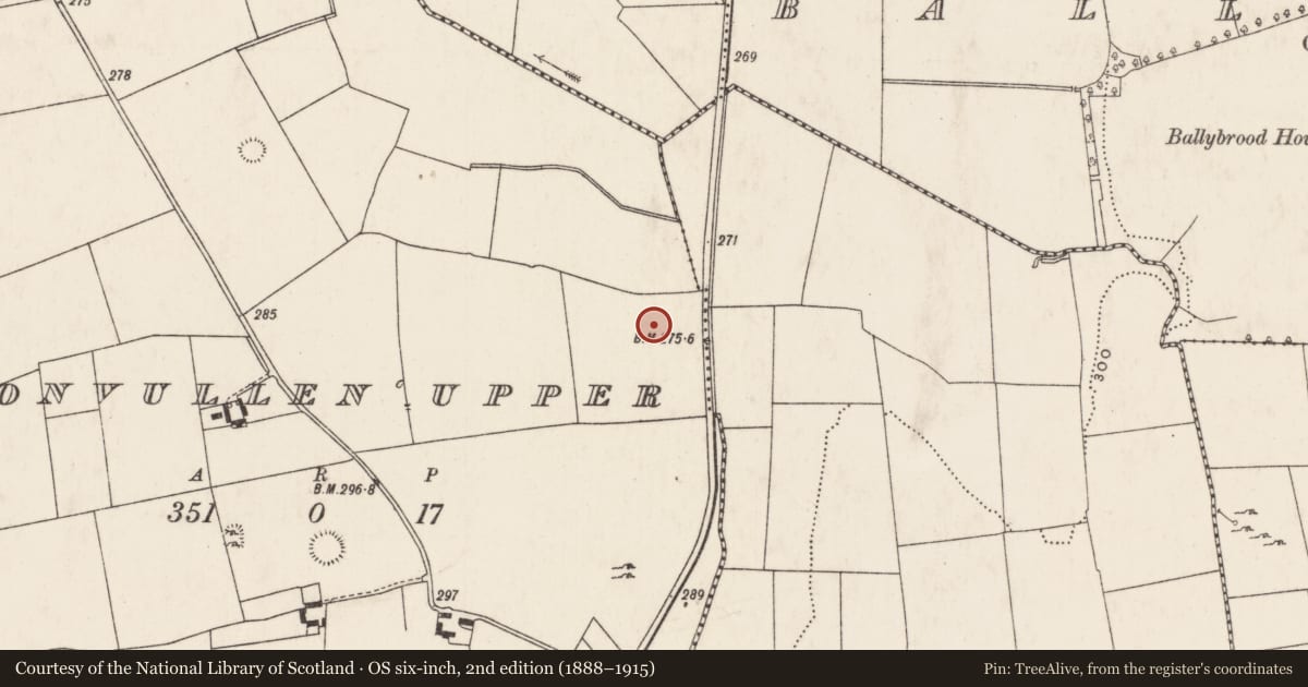 Ordnance Survey six-inch map, 2nd edition (1888–1915) covering the location of Earthwork, Doonvullen Upper, County Limerick, with a pin at the register's coordinates
