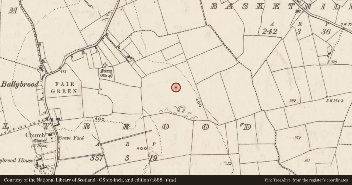 Ordnance Survey six-inch map, 2nd edition (1888–1915) covering the location of Enclosure, Ballybrood, County Limerick, with a pin at the register's coordinates