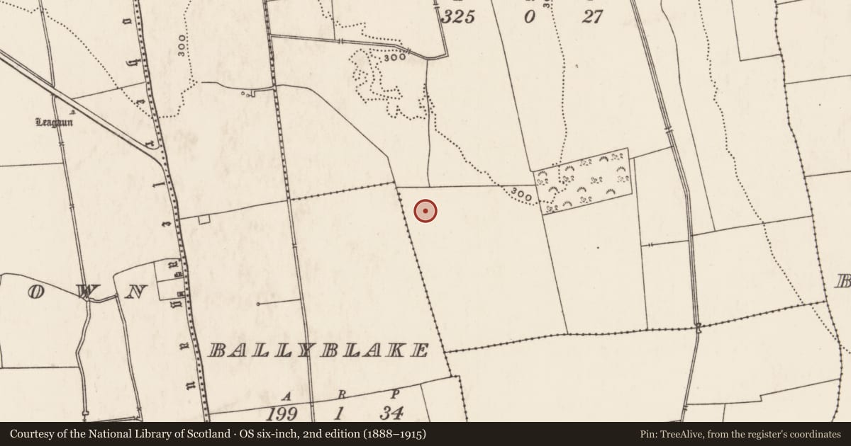 Ordnance Survey six-inch map, 2nd edition (1888–1915) covering the location of Barrow - ring-barrow, Ballybricken South, County Limerick, with a pin at the register's coordinates