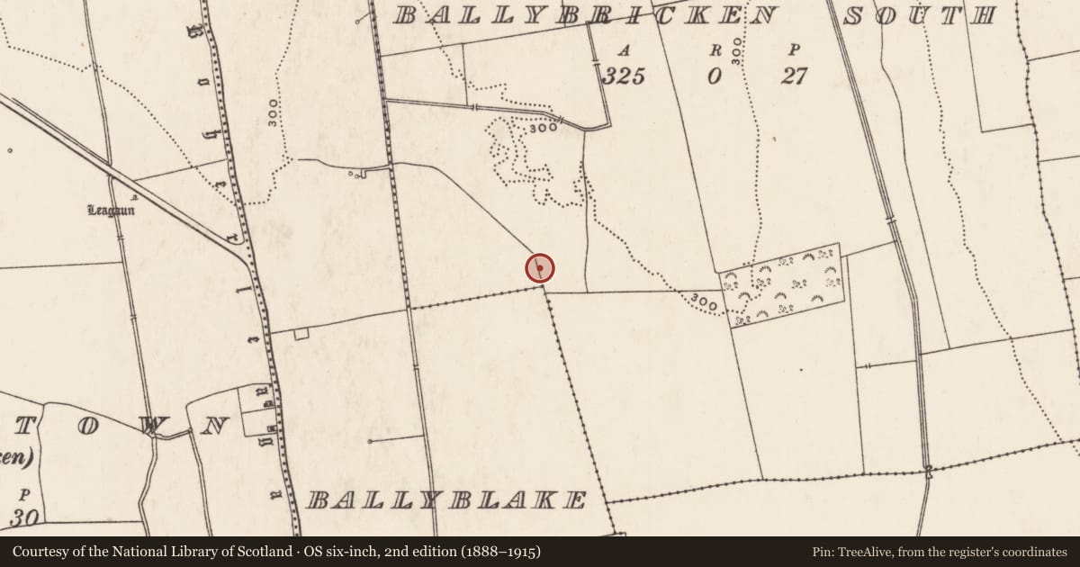 Ordnance Survey six-inch map, 2nd edition (1888–1915) covering the location of Barrow - ring-barrow, Ballybricken South, County Limerick, with a pin at the register's coordinates