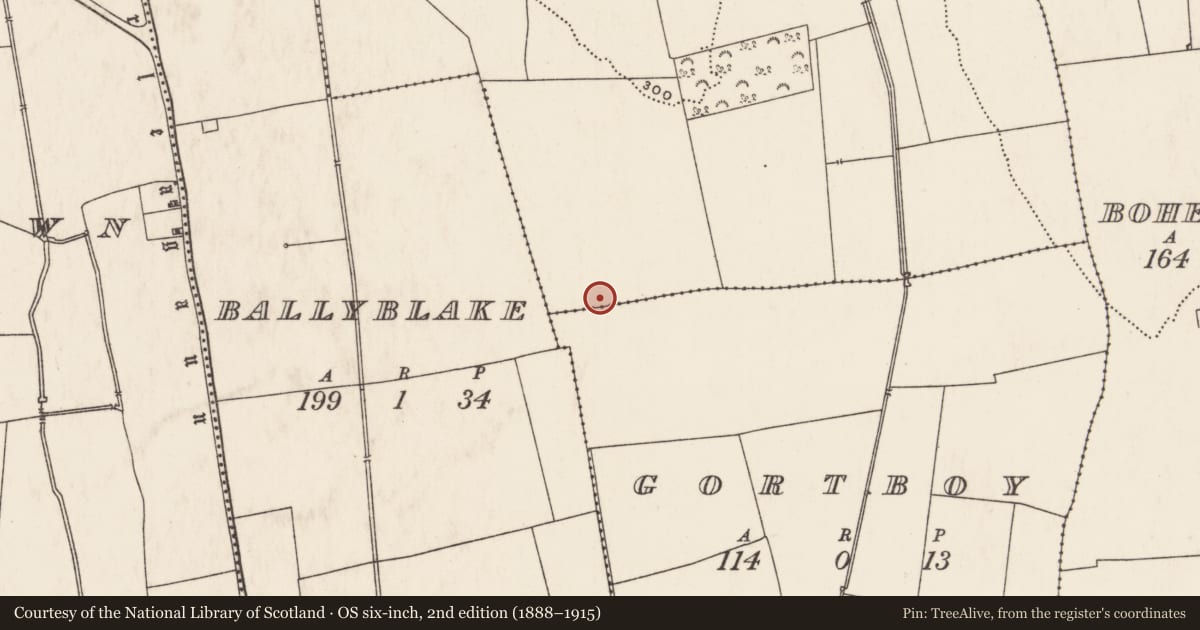 Ordnance Survey six-inch map, 2nd edition (1888–1915) covering the location of Enclosure, Ballybricken South, County Limerick, with a pin at the register's coordinates