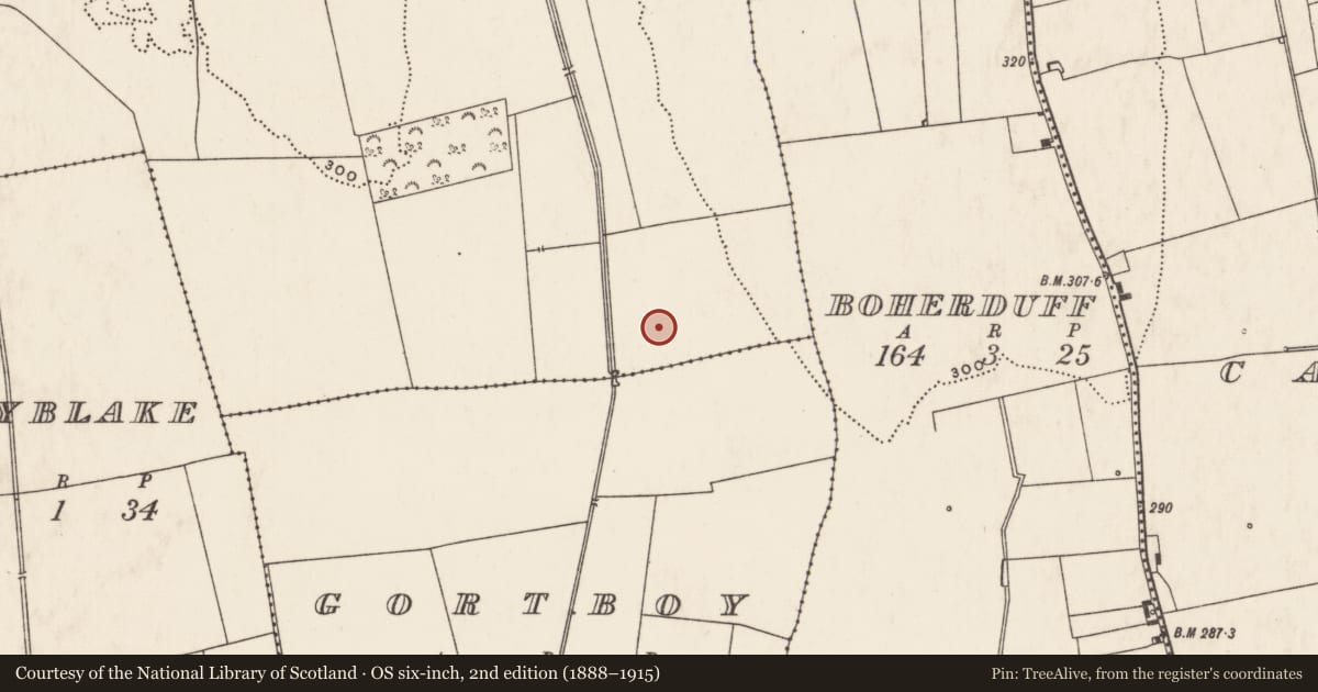 Ordnance Survey six-inch map, 2nd edition (1888–1915) covering the location of Enclosure, Ballybricken South, County Limerick, with a pin at the register's coordinates