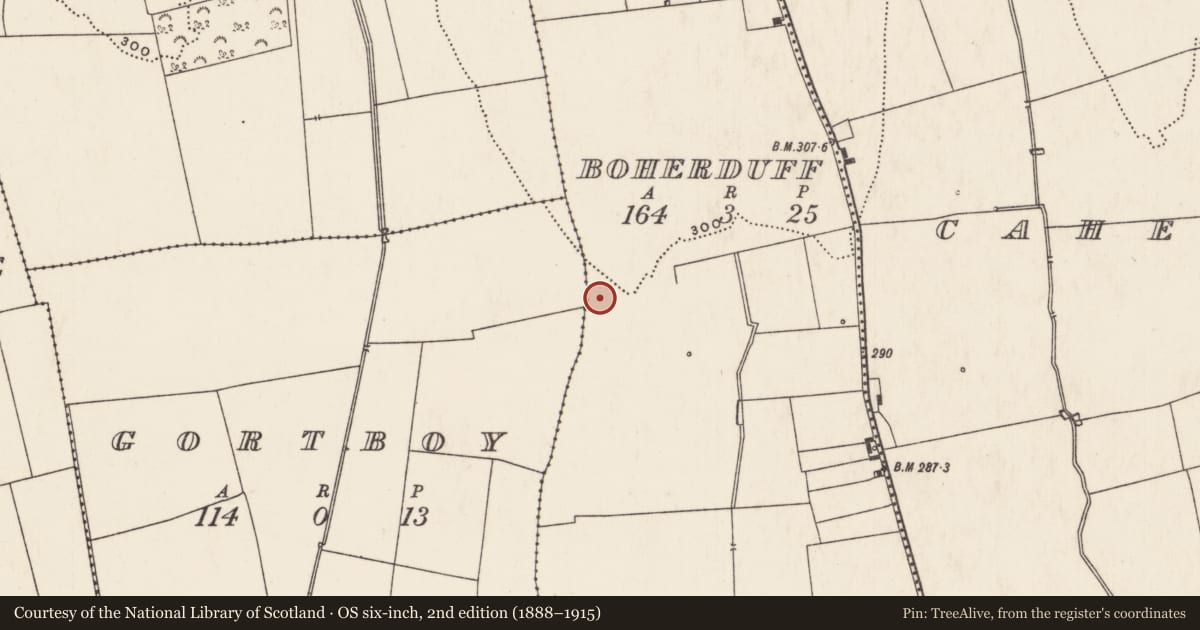 Ordnance Survey six-inch map, 2nd edition (1888–1915) covering the location of Enclosure, Boherduff, County Limerick, with a pin at the register's coordinates