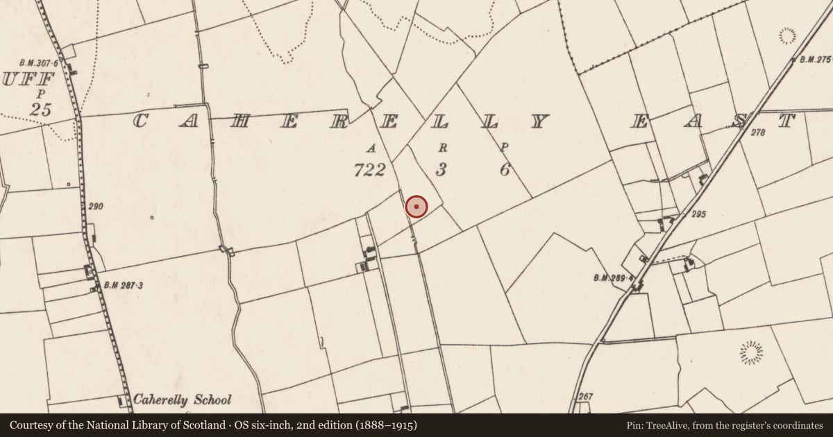 Ordnance Survey six-inch map, 2nd edition (1888–1915) covering the location of Enclosure, Caherelly East, County Limerick, with a pin at the register's coordinates