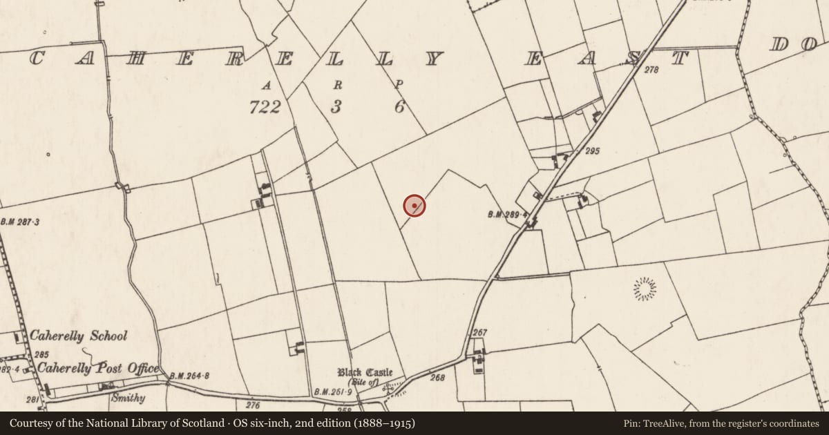 Ordnance Survey six-inch map, 2nd edition (1888–1915) covering the location of Barrow - unclassified, Caherelly East, County Limerick, with a pin at the register's coordinates