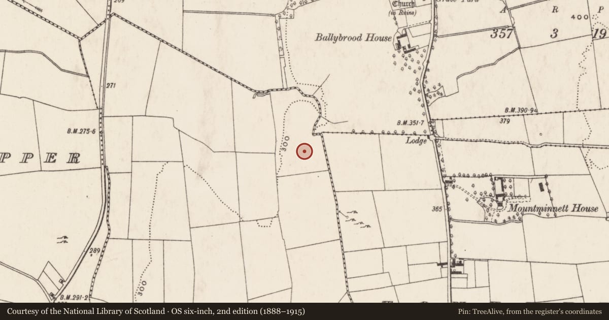 Ordnance Survey six-inch map, 2nd edition (1888–1915) covering the location of Moated site, Ballyhobin, County Limerick, with a pin at the register's coordinates