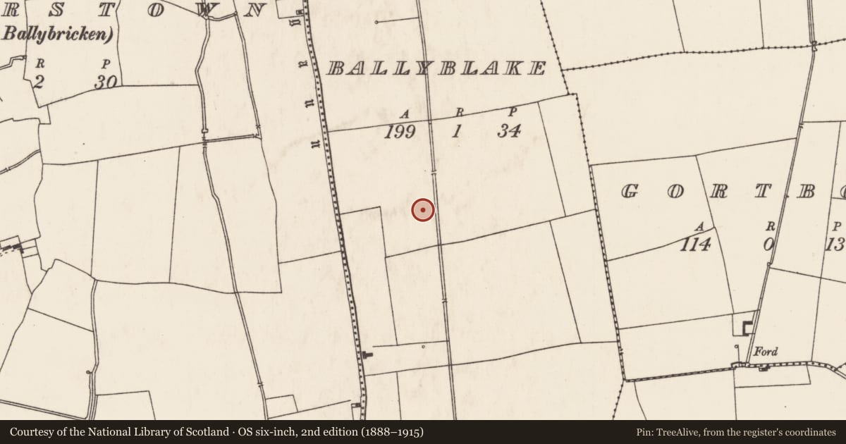 Ordnance Survey six-inch map, 2nd edition (1888–1915) covering the location of Enclosure, Ballyblake, County Limerick, with a pin at the register's coordinates