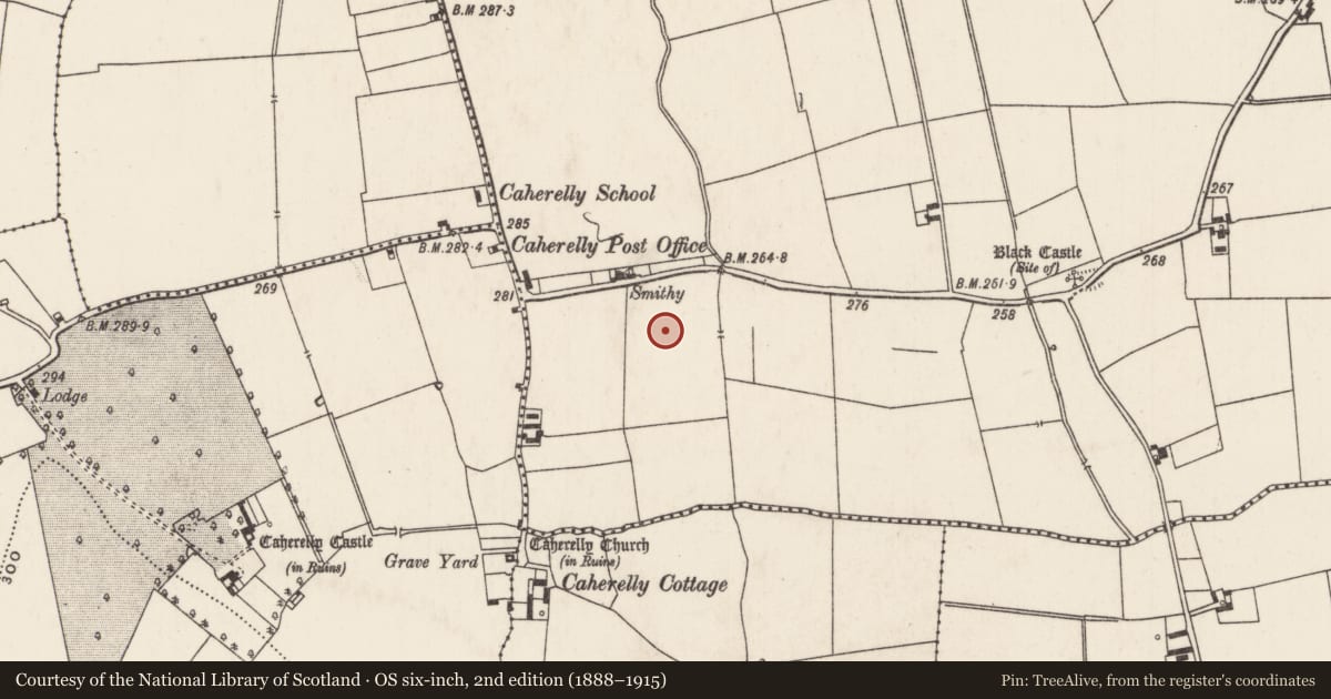 Ordnance Survey six-inch map, 2nd edition (1888–1915) covering the location of Mound, Caherelly East, County Limerick, with a pin at the register's coordinates